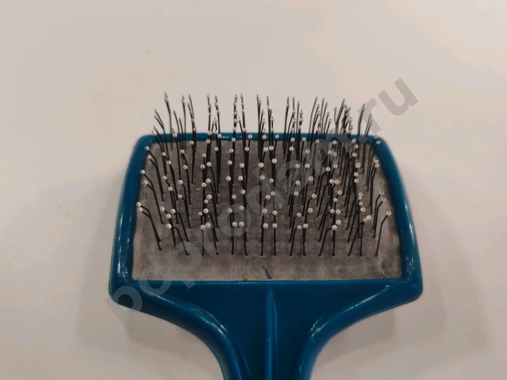 Набор для питомца