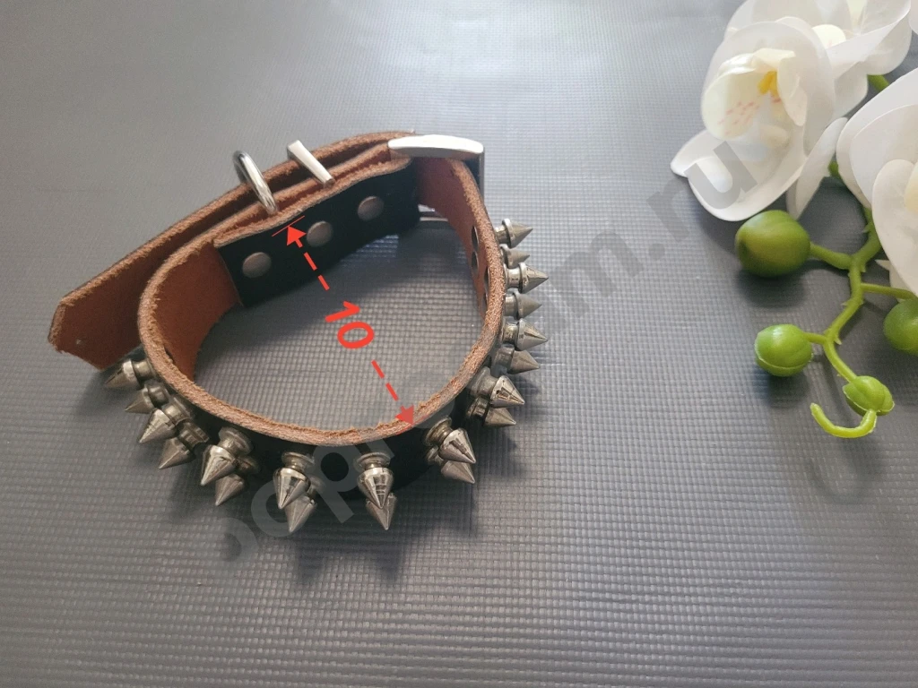 Ошейник для собаки кожаный коричневый с шипами