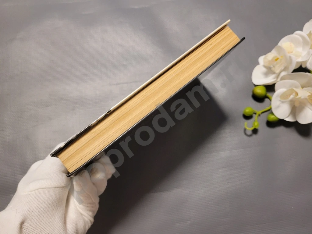 Первая борозда 1981г