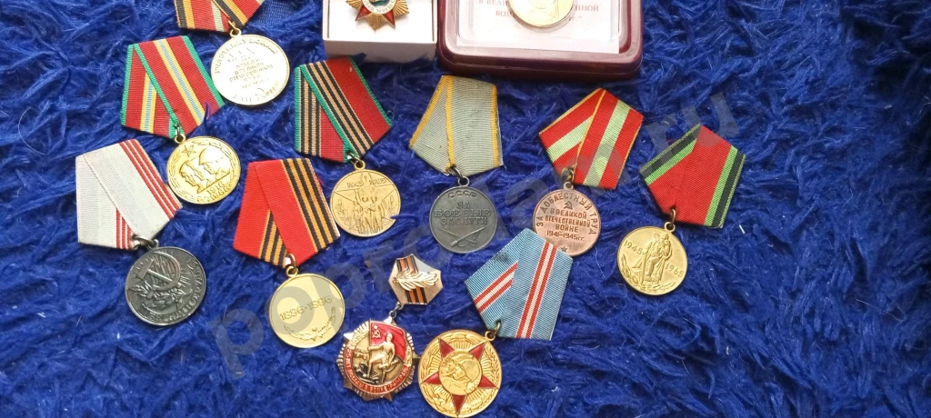 Коллекционирование