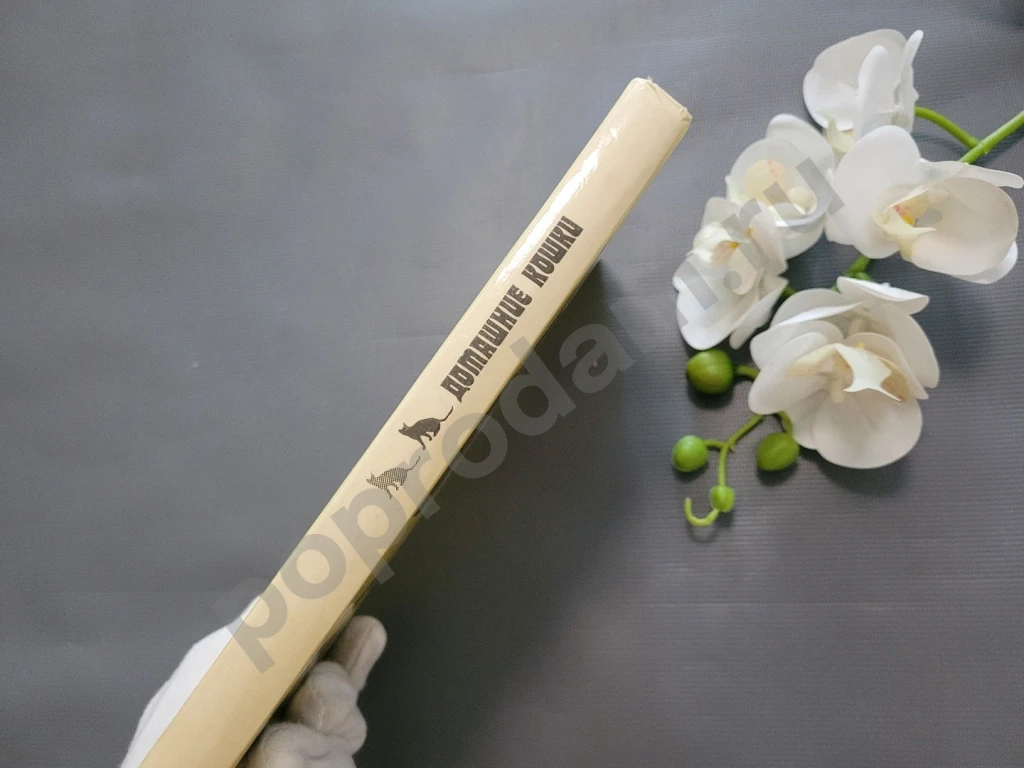 Филиппов / Домашние кошки 1991г