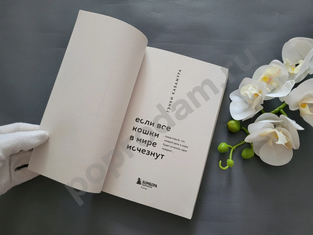 Гэнки Кавамура Если все кошки в мире исчезнут новая
