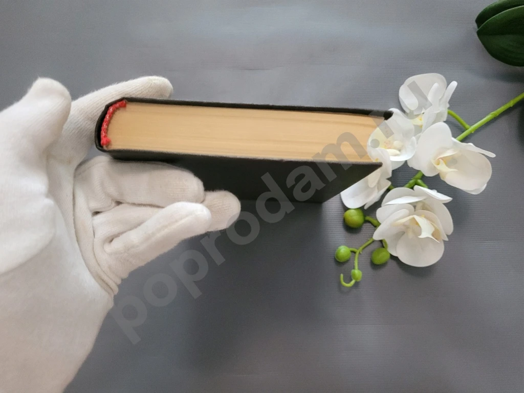 Всадник без головы | Рид Томас Майн 1982г