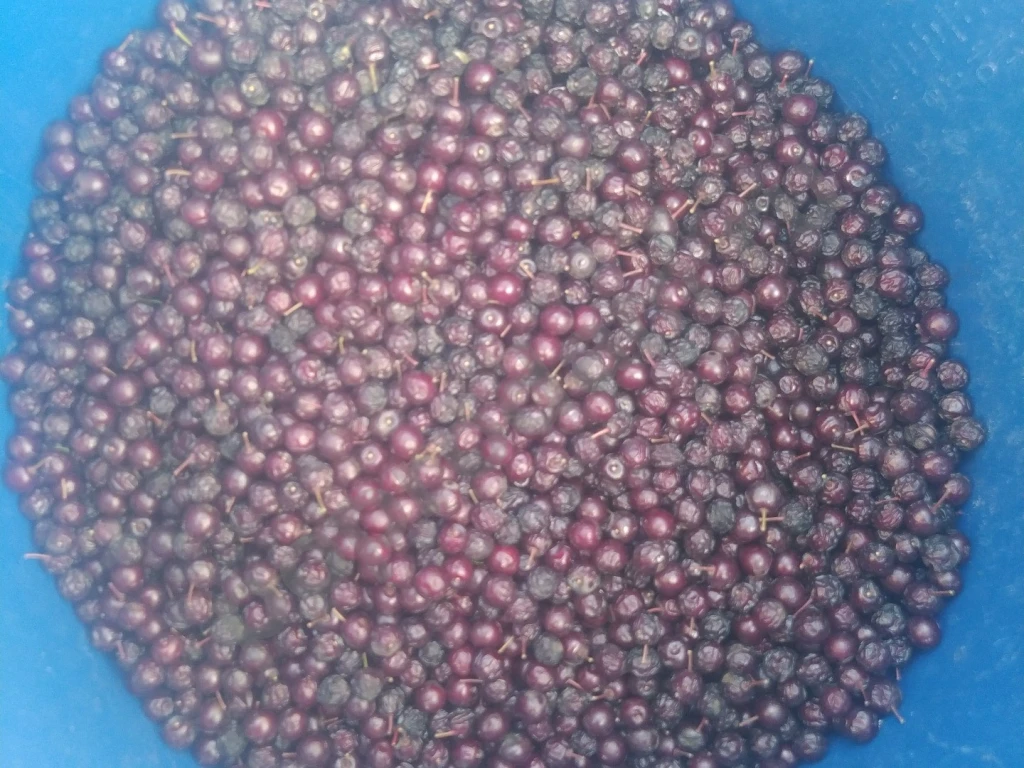 Замороженные ягоды