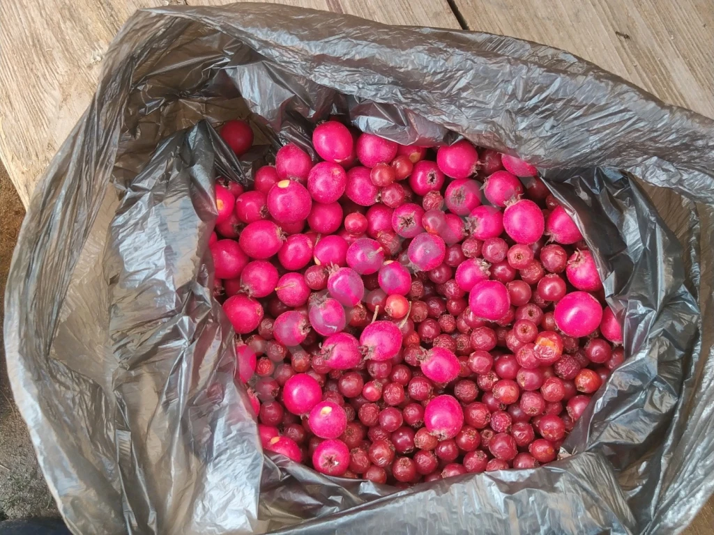 Замороженные ягоды