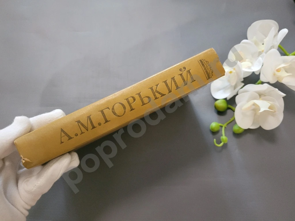 А.М. Горький / Дело Артамоновых. Рассказы 1980г