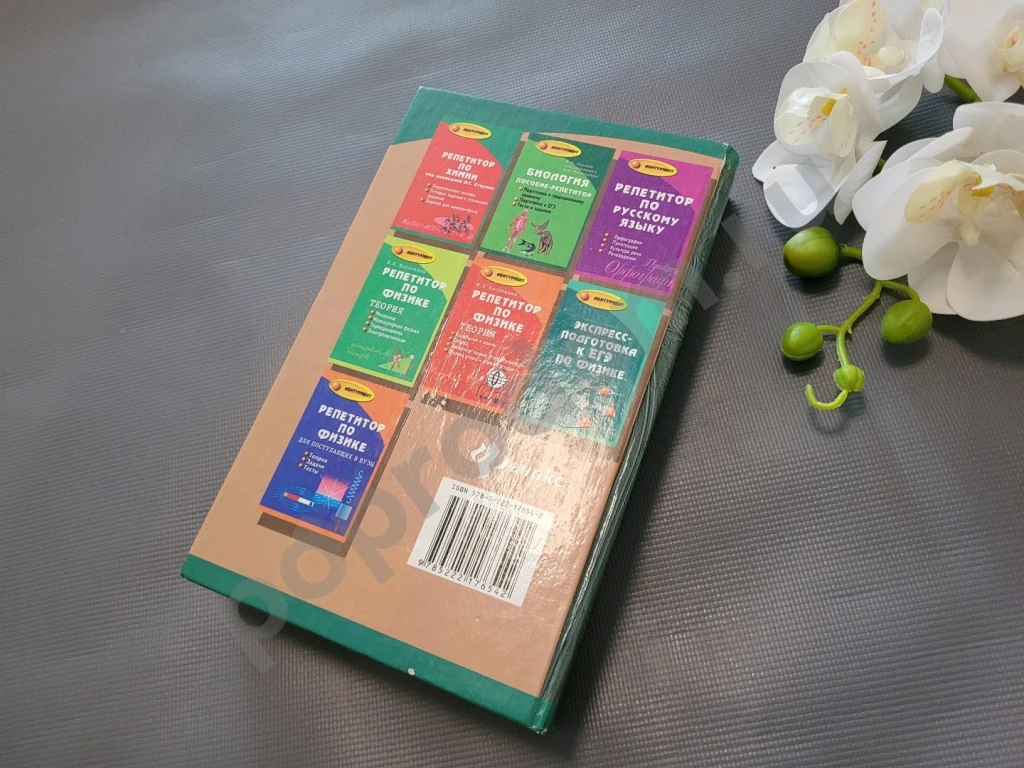 Обществознание пособие-репетитор 10 11 класс феникс 2010