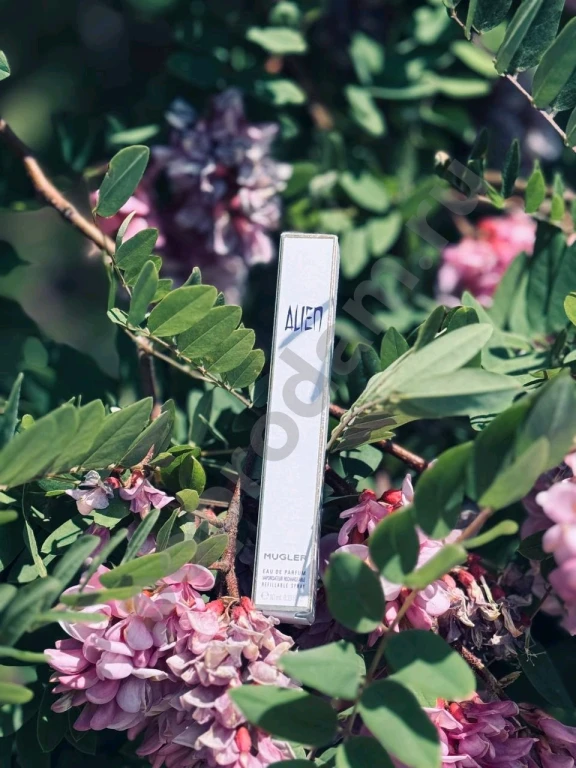 Mugler-Alien
