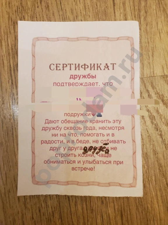 Сертификаты дружбы