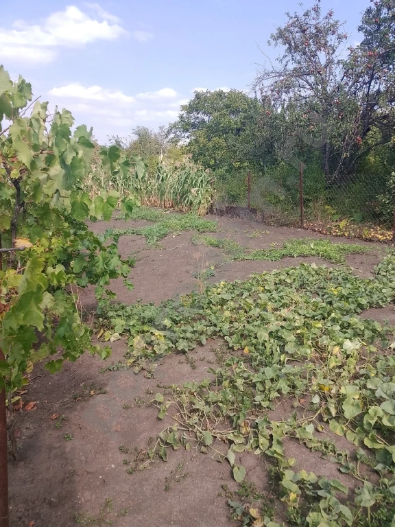 Участок 5 сот. Сельхозназначения (СНТ, ДНП)