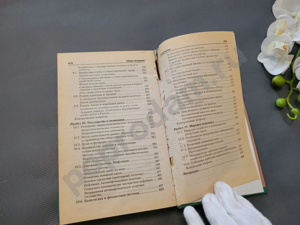 Обществознание пособие-репетитор 10 11 класс феникс 2010