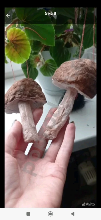 Ватные игрушки