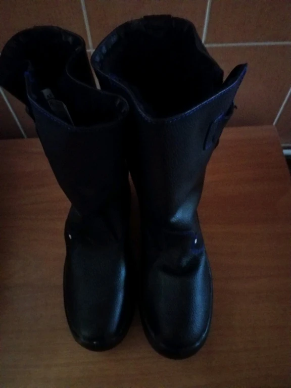 Сапоги мужские Легион