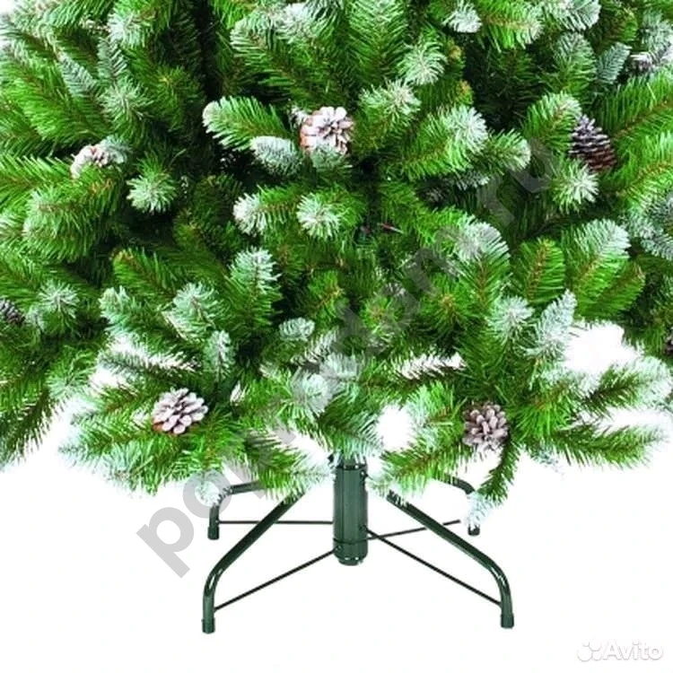 Ель Императрица Триумф с шишками 185 см заснеженая