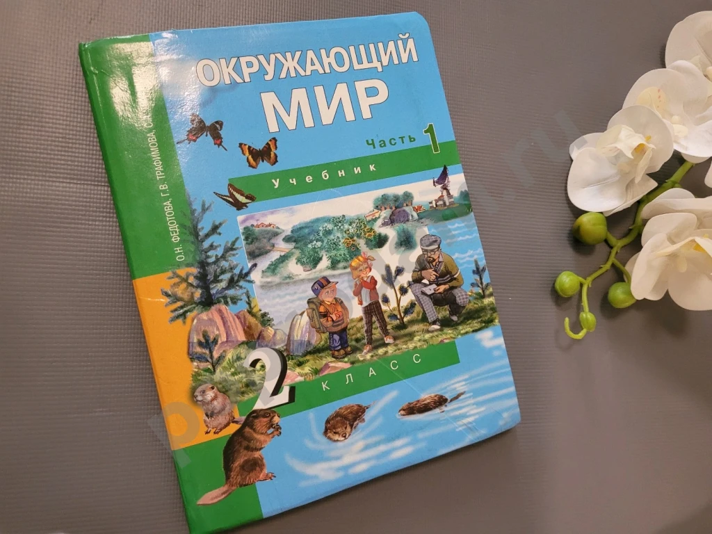 Учебник 2кл. Окружающий мир. Ч.1 (Федотова) ФГОС (ПерспективнаяНачШкола) (АК, 2009)