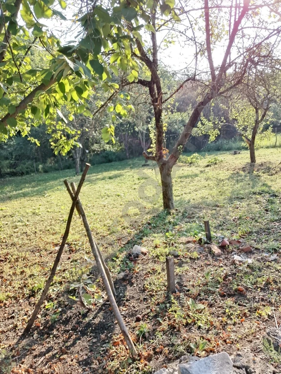 Участок 5 сот. Сельхозназначения (СНТ, ДНП)