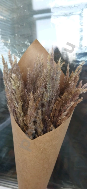 Вейник сухоцвет букетик