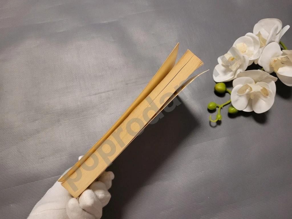 РЕДКАЯ / Домашний врачебник (целебник, лечебник) из собрания рецептов исцеления /Морозовой