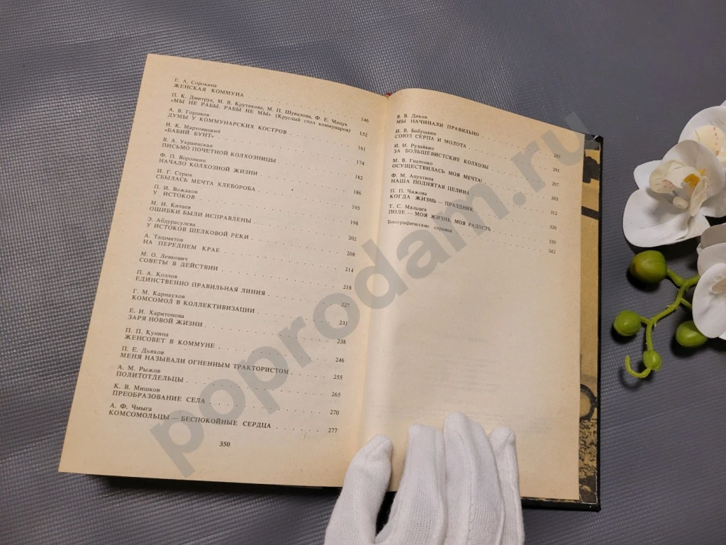 Первая борозда 1981г