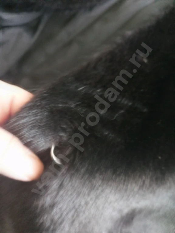 Шуба норковая