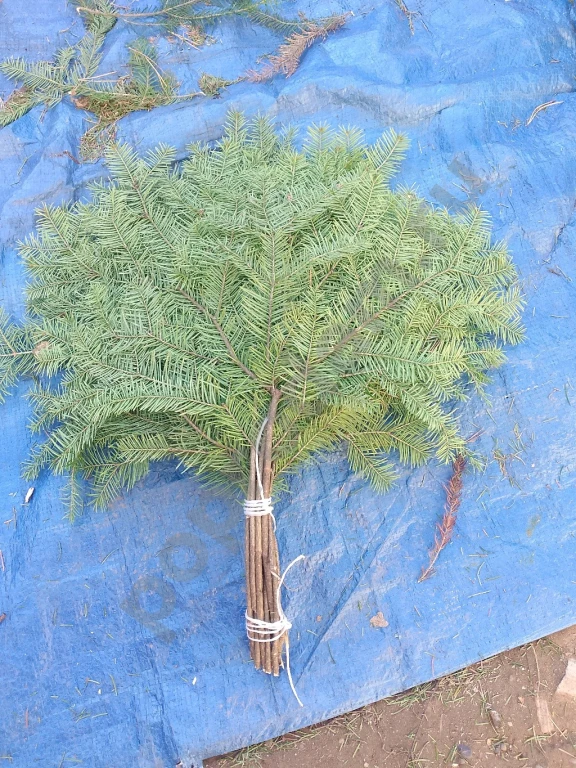 Веник пихтовый