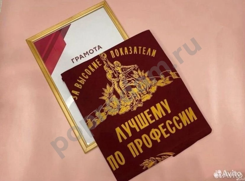 Новая футболка с принтом Лучшему по профессии 48