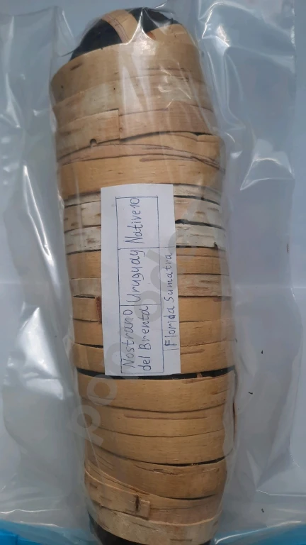 Рулет America 🇺🇸 Europe 🇪🇺 blend