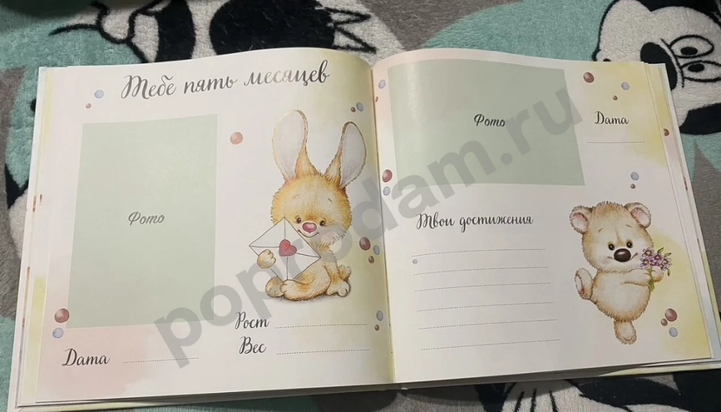 Первый альбом малыша
