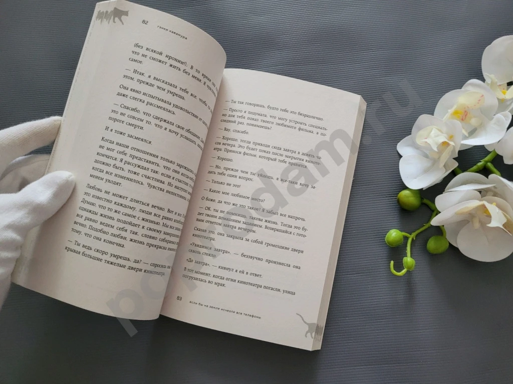 Гэнки Кавамура Если все кошки в мире исчезнут новая