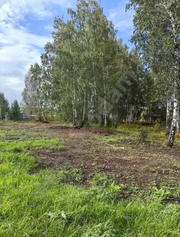 Другая коммерческая недвижимость, 11000 м², Собственник