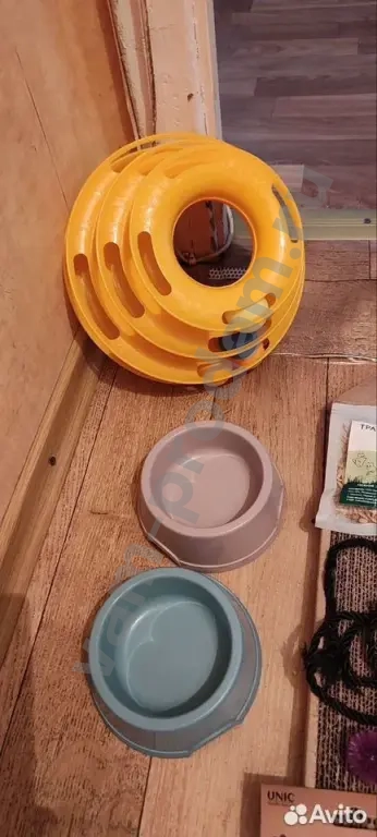 Набор начинающего котовода :)