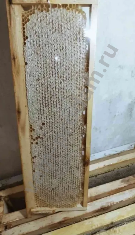 Мёд натуральный