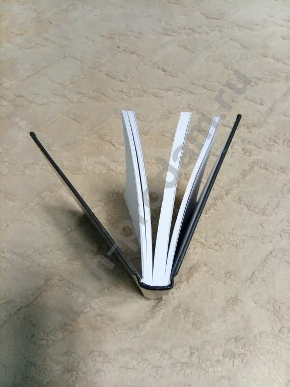 Диего Торрес Моуриньо особенный книга