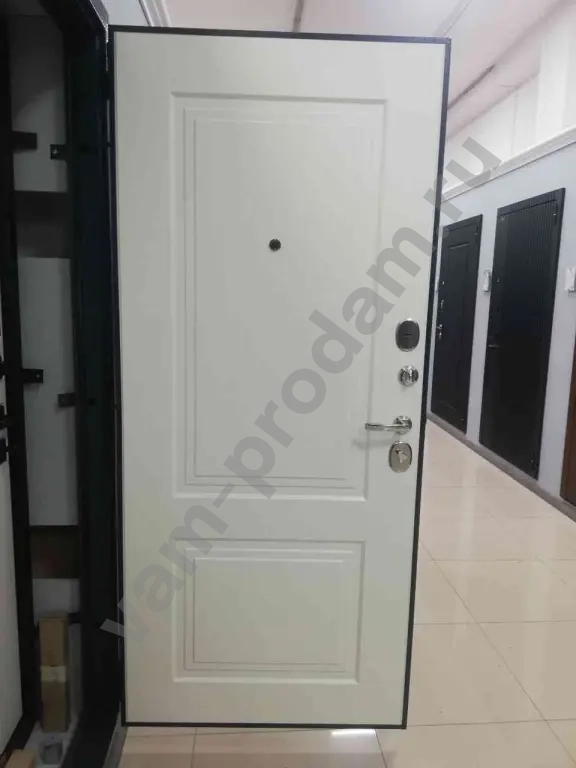 Дверь входная Кантата.