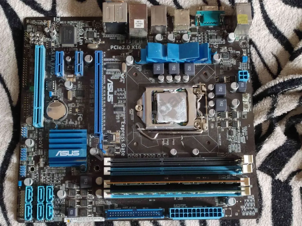 материнская плата Asus P7H55M