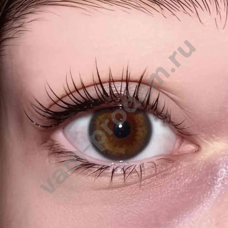 Ламинирование ресниц и оформление бровей