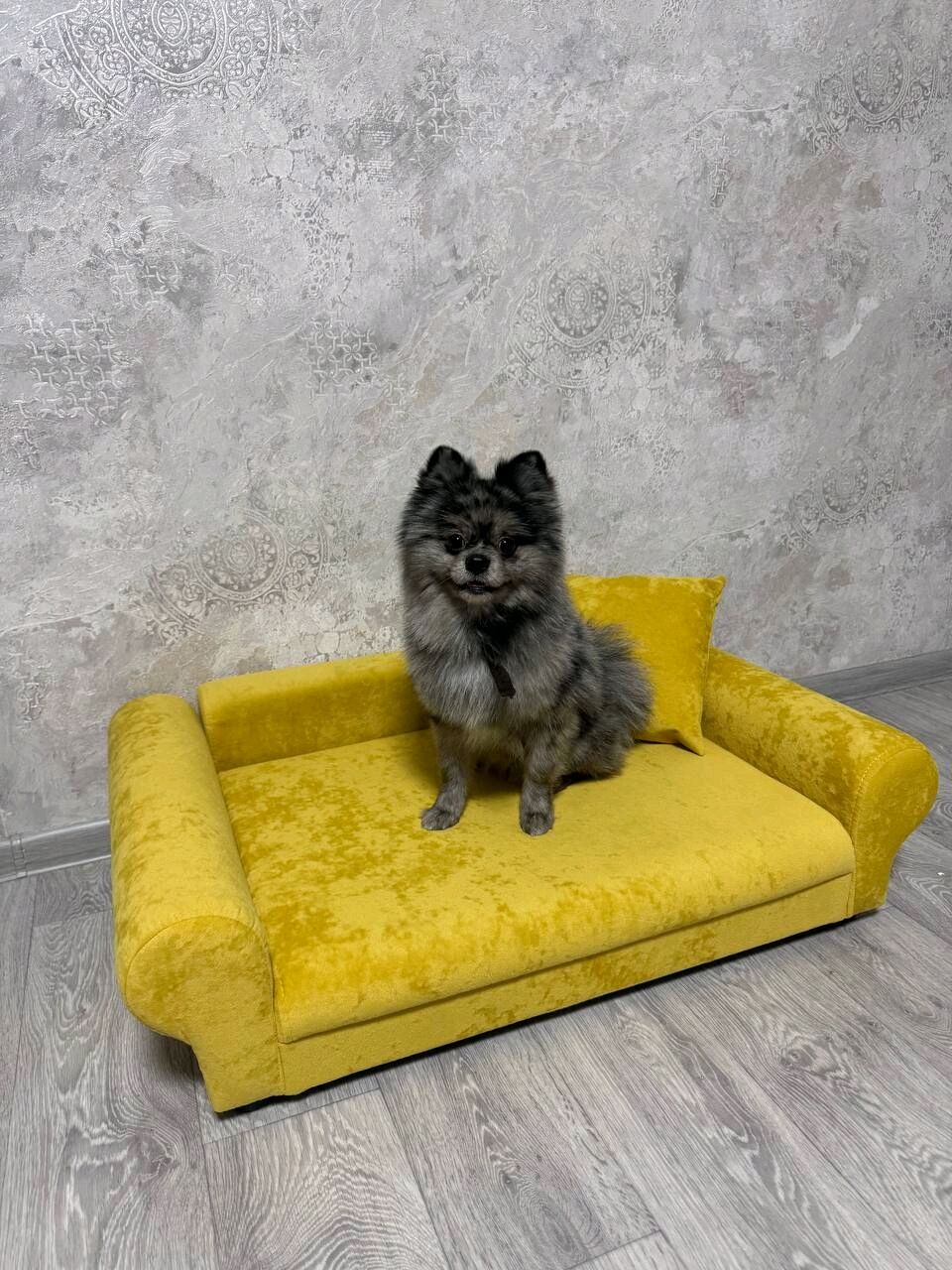 Диван для собак 