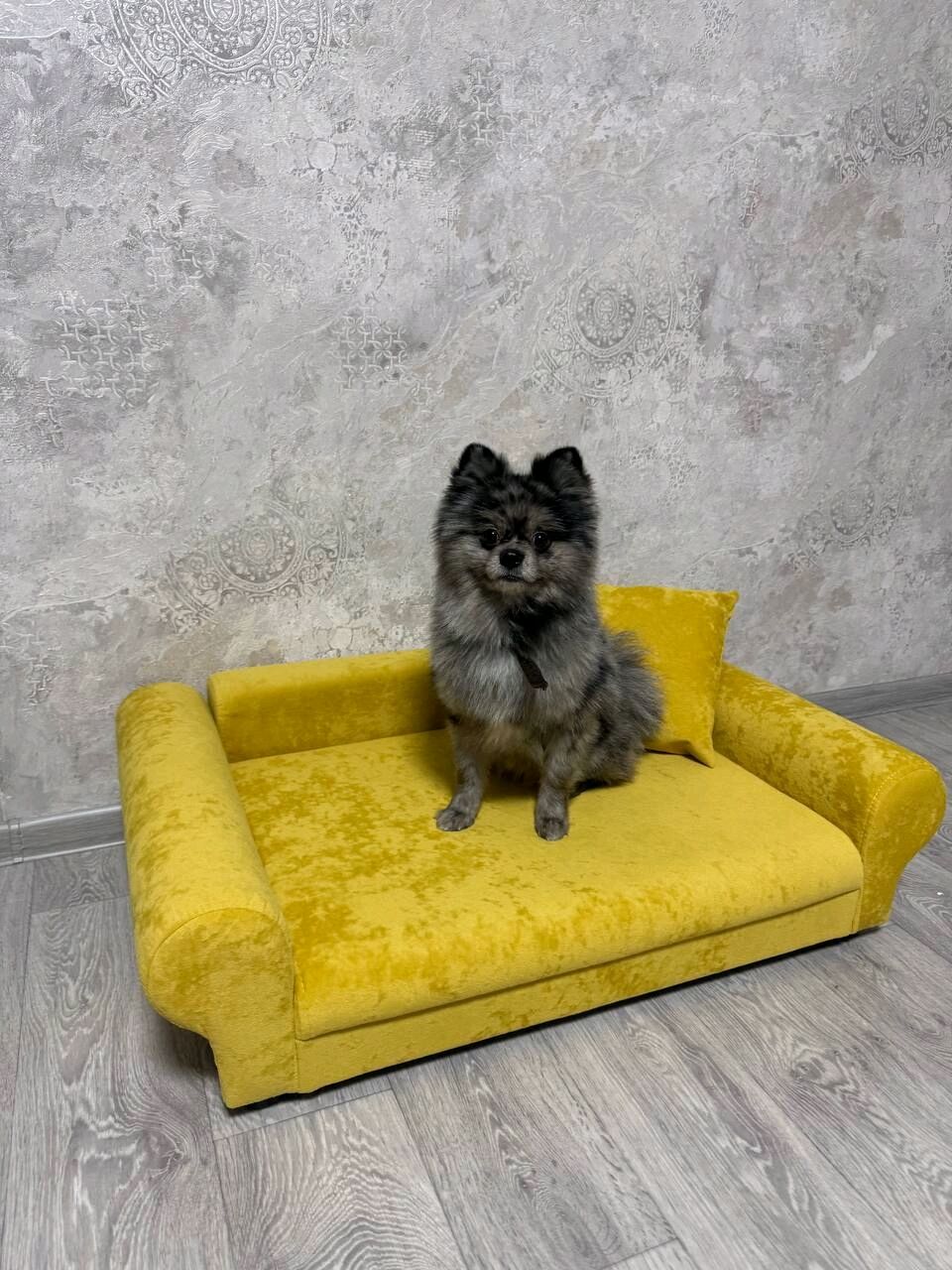 Диван для собак 