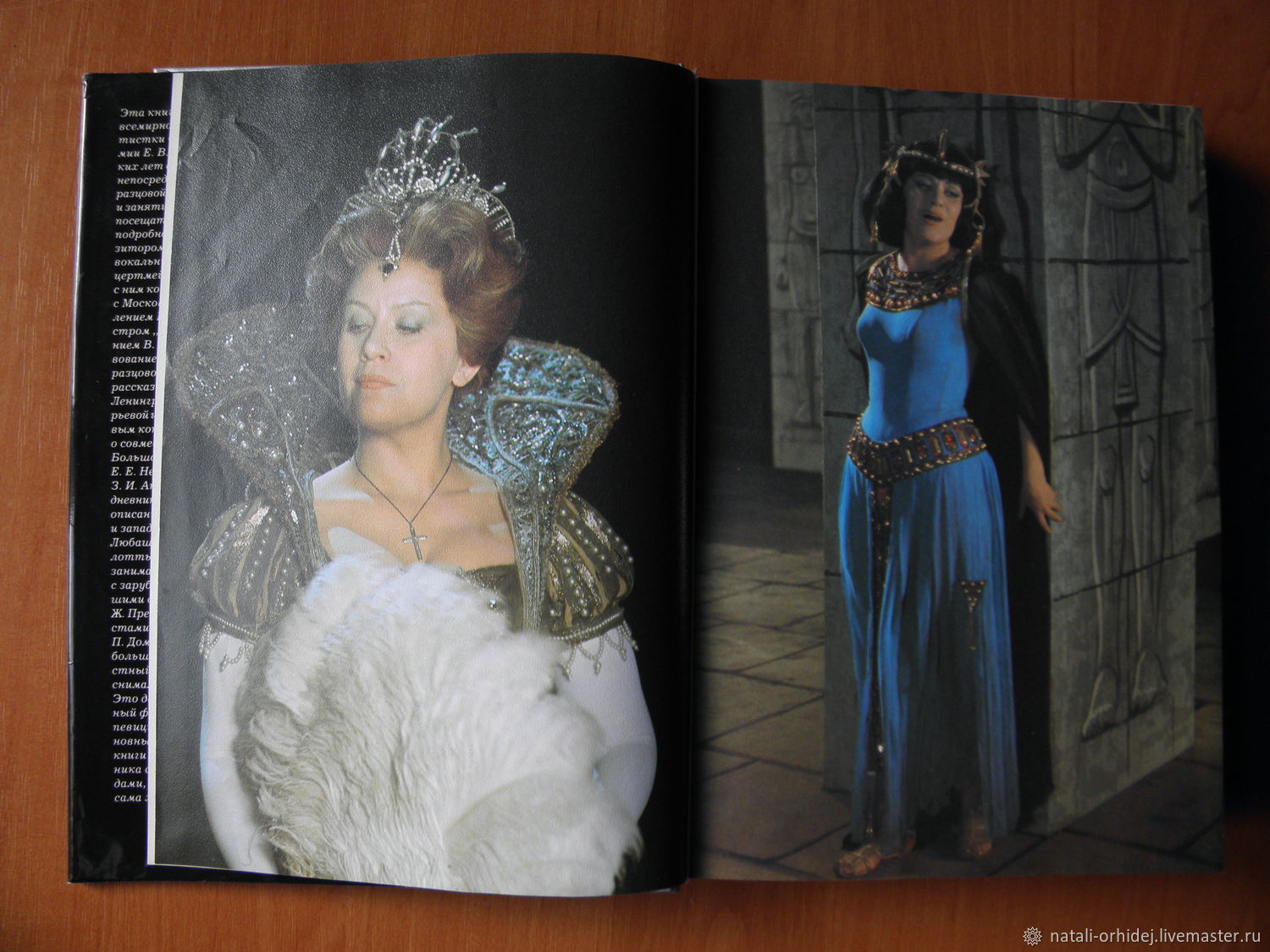 «Елена Образцова. Записки в пути. Диалоги» Шейко Р