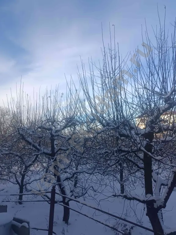 Участок 23 сот. Поселений (ИЖС)