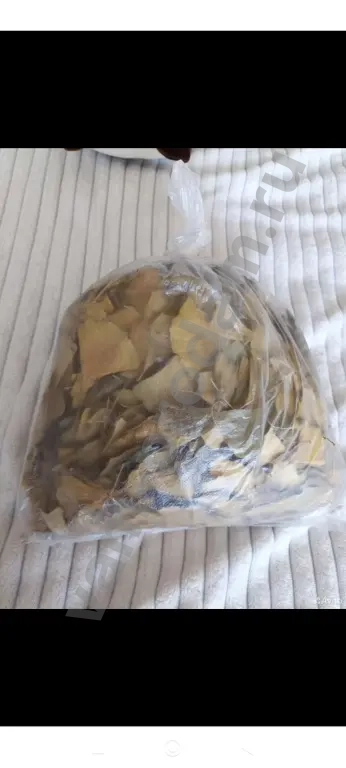 гингобилоба