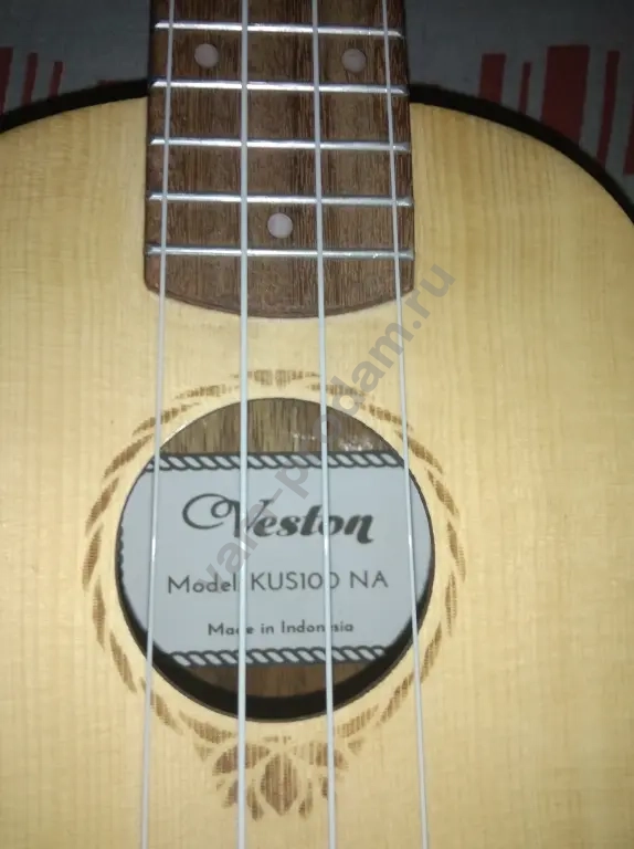 Улулеле, 2 блокфлейты, 2 тамбурина, стойка и др.