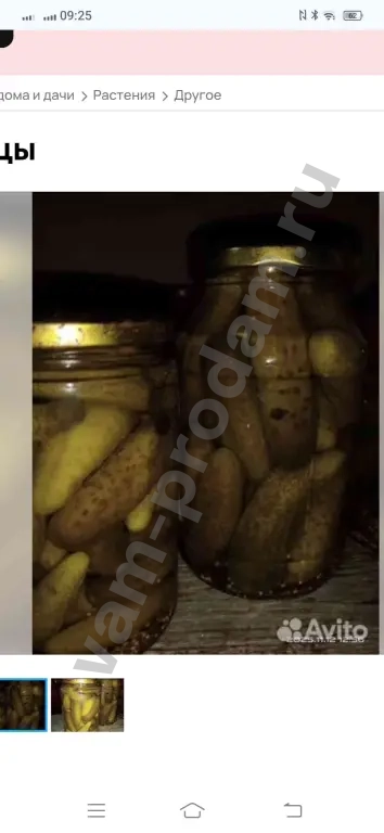 Огурцы маринованные