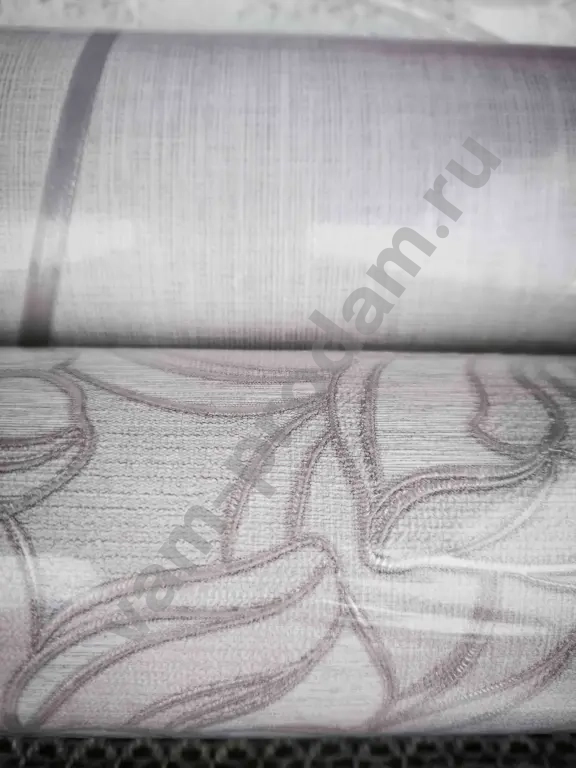 обои компаньоны