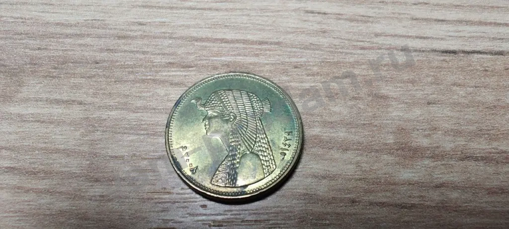 Монета 50 пиастров Египет (2008-2023)