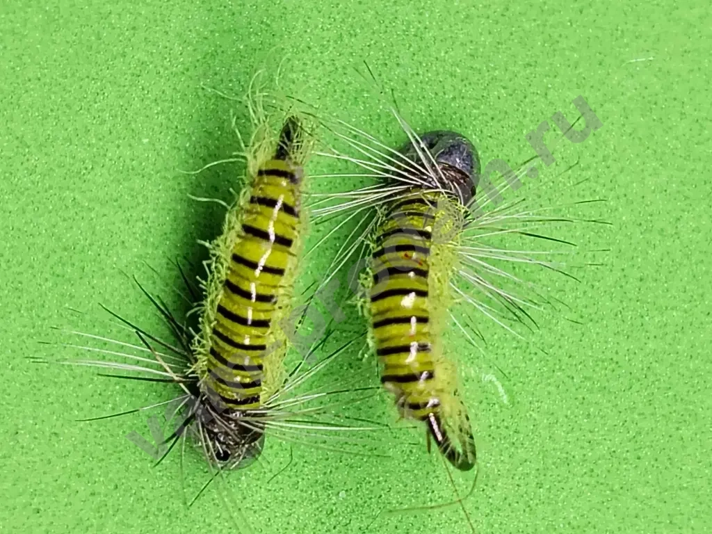 Зимние мушки