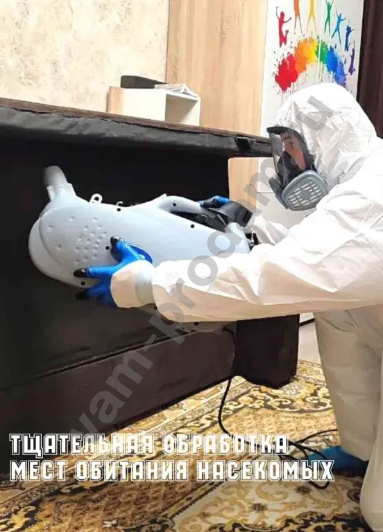 Уничтожение насекомых и грызунов с гарантией