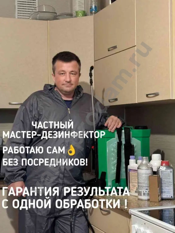 Уничтожение насекомых и грызунов с гарантией