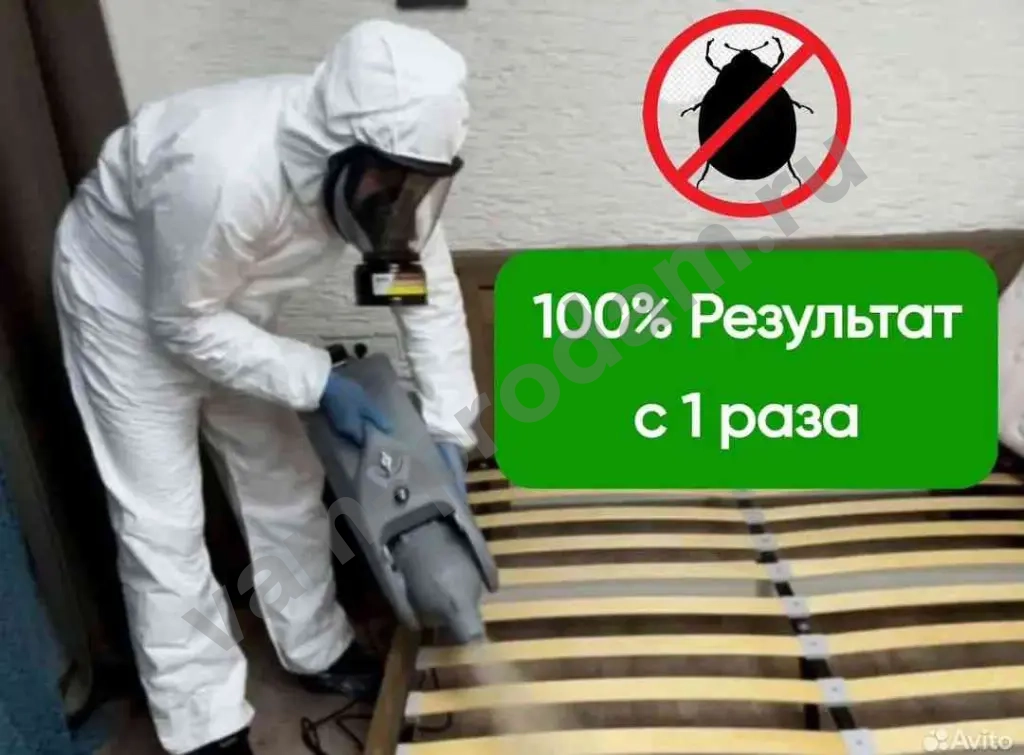 Уничтожение насекомых и грызунов с гарантией