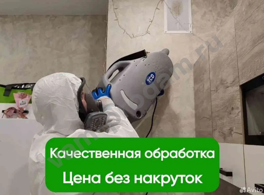 Уничтожение насекомых и грызунов с гарантией